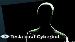 Tesla baut Cyberbot! ...und den schnellsten Supercomputer der Welt!