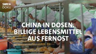 Billige Lebensmittel aus Fernost - China in Dosen - Doku