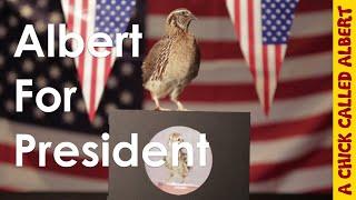 USA -  Albert for President - 