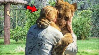 Lionesses hugging the woman who saved them from death 7 years ago