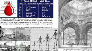 Blood Type and DNA. Humanity is a hybrid species genetic experiment?