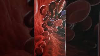 Blut(-Plasma, Regeneration hoch) der Kinder(Video Ab 18)