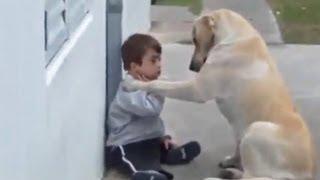 Hund kümmert sich liebevoll um kleinen Jungen mit Down-Syndrom