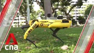 Maschine kontrolliert Corona-Abstände - Four-legged robot to promote safe distancing at Bishan-Ang M