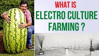 What is Electro culture farming ? How does electroculture farming work ?