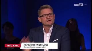 Thema Rente   Rene Springer  AfD 