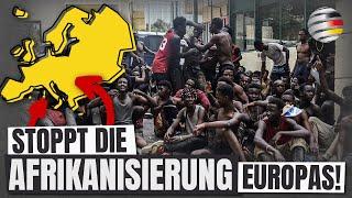 Zig Millionen sitzen auf gepackten Koffern: STOPPT DIE AFRIKANISIERUNG EUROPAS!