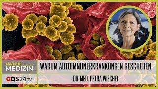 Warum Autoimmunerkrankungen entstehen| Dr. med. Petra Wiechel | Naturmedizin | QS24