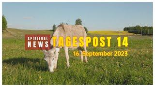 Tagespost 14
