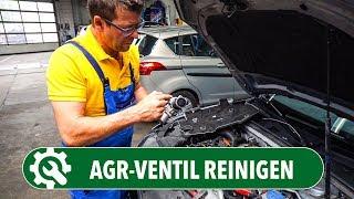 AGR-Ventil reinigen statt tauschen | Die Autodoktoren