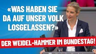 Der Weidel-Hammer im Bundestag: \