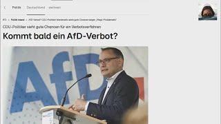 Deutsches Demokratieverständnis am Beispiel der AfD