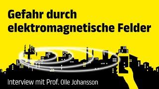 Gefährliche Auswirkungen elektromagnetischer Felder – Interview mit Prof. Dr. Olle Johansson –