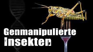 Genmanipulierte Insekten - ACHTUNG!