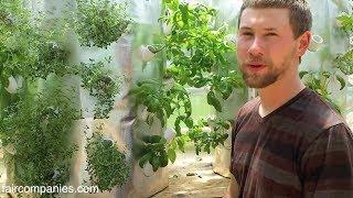 Backyard aeroponics: self-sustaining farm for Wisconsin cold