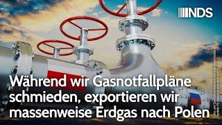Während wir Gasnotfallpläne schmieden, exportieren wir massenweise Erdgas nach Polen | J. Berger NDS
