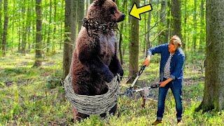 Der Bär bettelte darum, gerettet zu werden, aber der Jäger tat etwas Schockierendes!