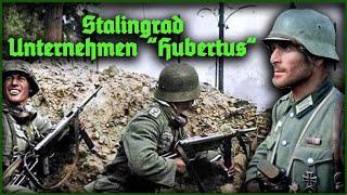 Stalingrad  - Die letzte deutsche Offensive - Nov. 42 Unternehmen Hubertus -