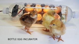 Water bottle Egg incubator #2  (페트병으로 부화기 만들기)