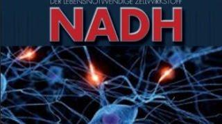 NADH für die Zellregeneration