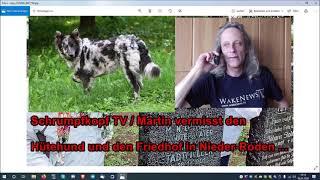 Trailer: Schrumpfkopf TV / Martin von vermisst den Hütehund und den Friedhof in Nieder Roden ...