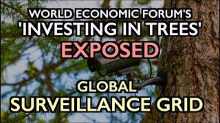 WEF's "Invest in Forests" Exposed: Global Surveillance Grid