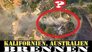 Waldbrände in Australien und Kalifornien 2019,Gebäude und Autos zerstört - Bäume hingegen unberührt?