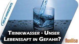 Trinkwasser - Unser Lebenssaft in Gefahr? - Erich Meidert