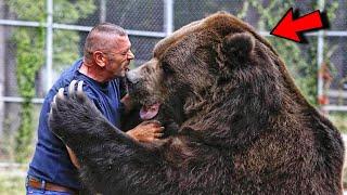 Man saved a bear cub and over time he grew into the Biggest Bear In The World!