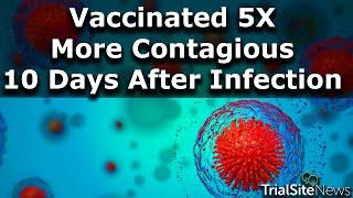 Study: Vaccinated 5X More Contagious Than the Unvaccinated 10 Days After SARS-CoV-2 Infection