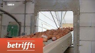 Gefälschte Eier - Wie uns die Industrie austrickst | SWR betrifft