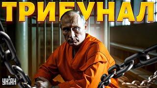 Путина ждет РАСПЛАТА! Трибунал для диктатора ГОТОВ: как это будет?