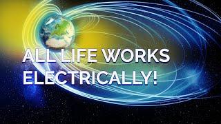 All Life Works Electrically! (14min)