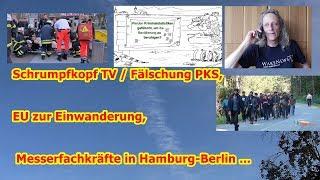 Trailer: Fälschung PKS, EU zur Einwanderung, Messerfachkräfte in Hamburg-Berlin ...
